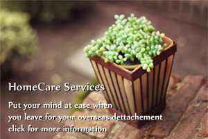 HomeCare Services